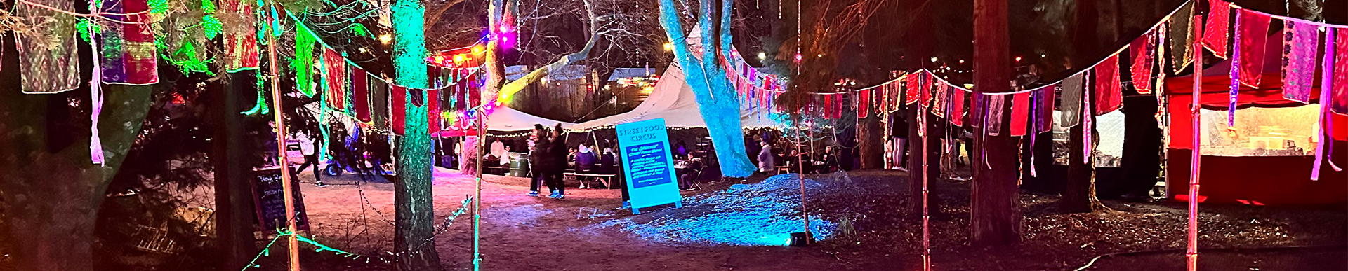 Forest feastival
