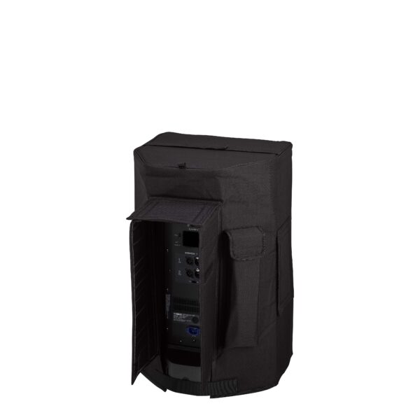 Photo of the DZR12 speaker