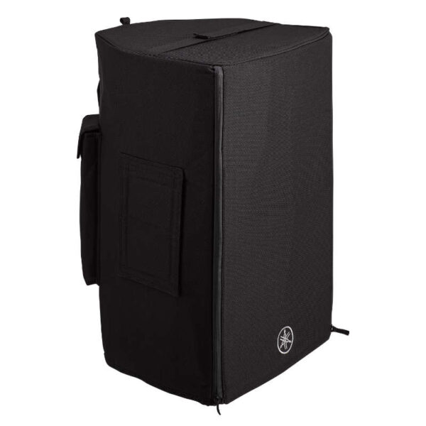 Photo of the DZR12 speaker