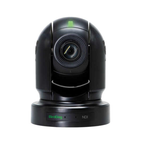 P200 front